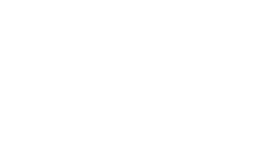 LSI株式会社